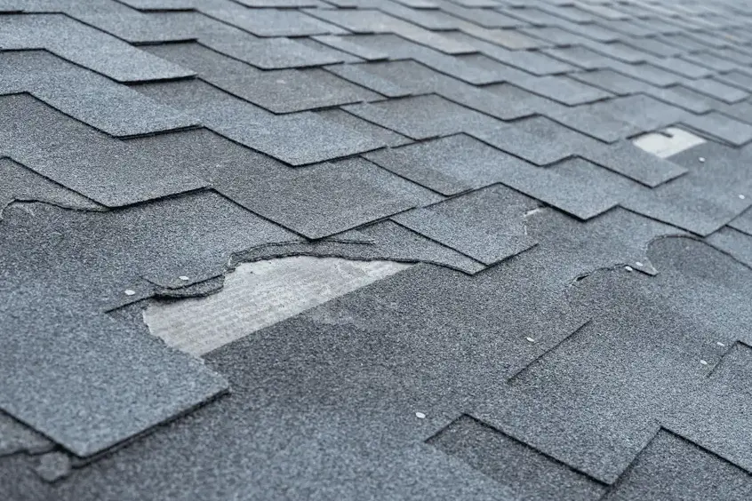 Asphalt shingles torn and bruised after a Front Range hailstorm