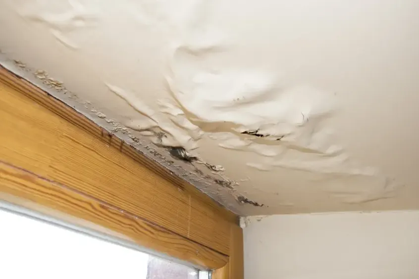 Bubbled ceiling paint along a window wall below a leaking rooftop cooler